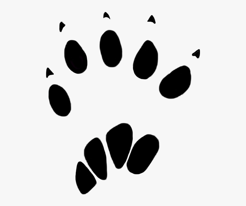 Squirrel Paw Print 20-25 Mm - Animal Track, HD Png Download, Free Download