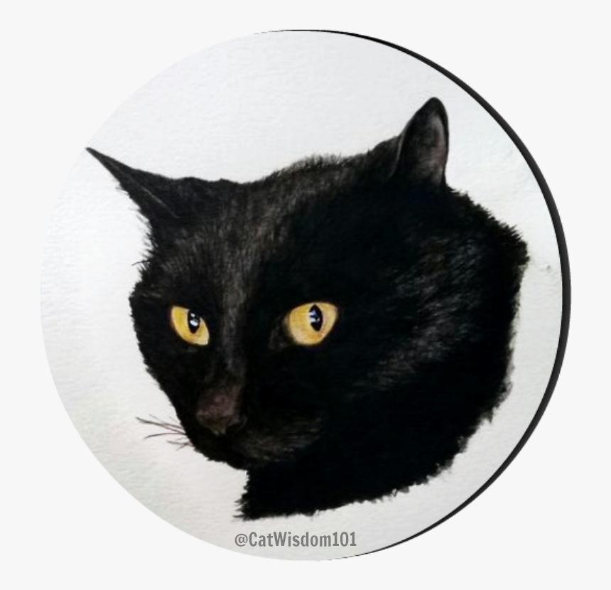 Clyde Cat Art Watercolor - Black Cat, HD Png Download, Free Download