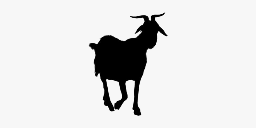 Transparent Mountain Goat Clipart - Goat, HD Png Download, Free Download