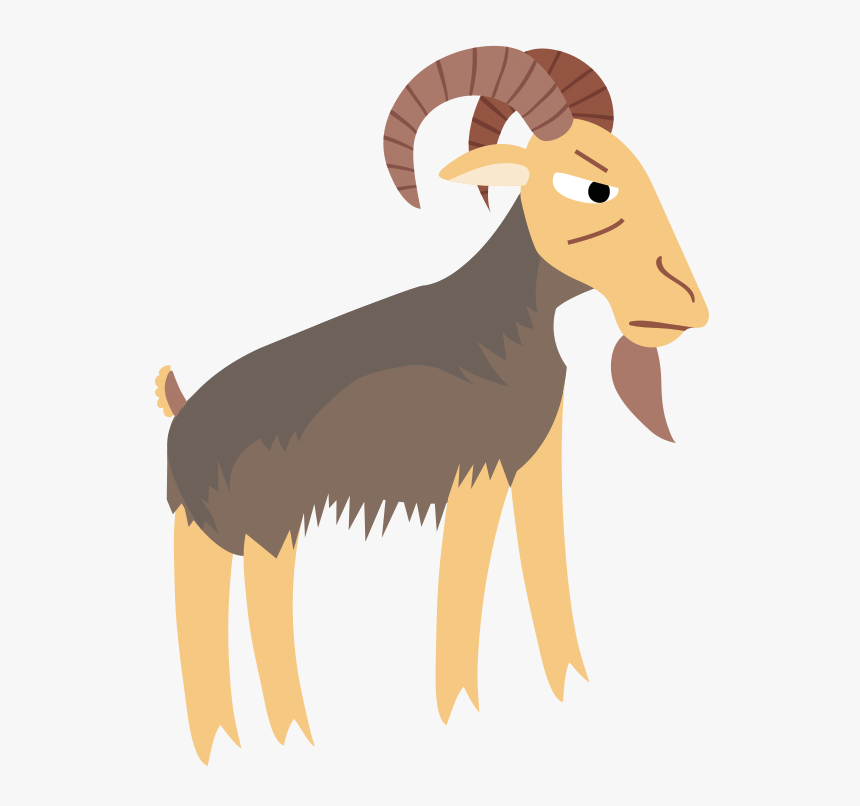 Mountaingoat - Argali, HD Png Download, Free Download