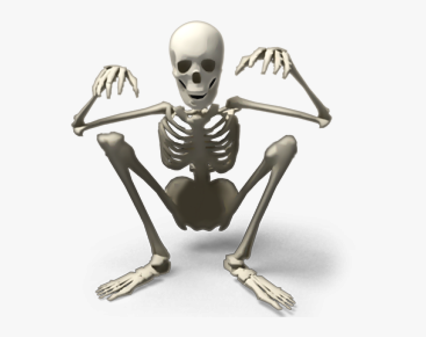 Skeleton Png Free Download - Skeleton Png, Transparent Png, Free Download