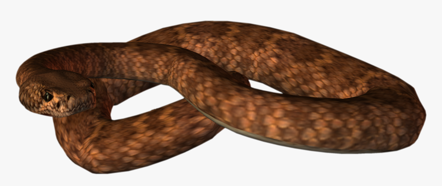 Animated Snake Gif Png, Transparent Png, Free Download