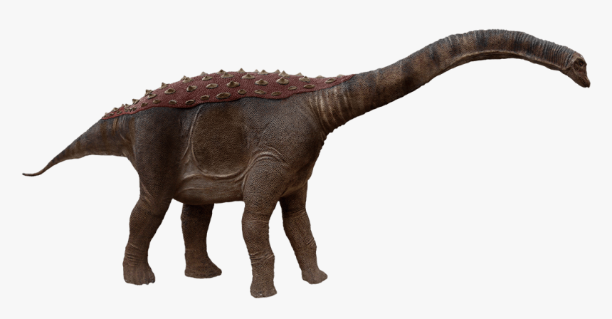 Saltasaurus Png, Transparent Png, Free Download