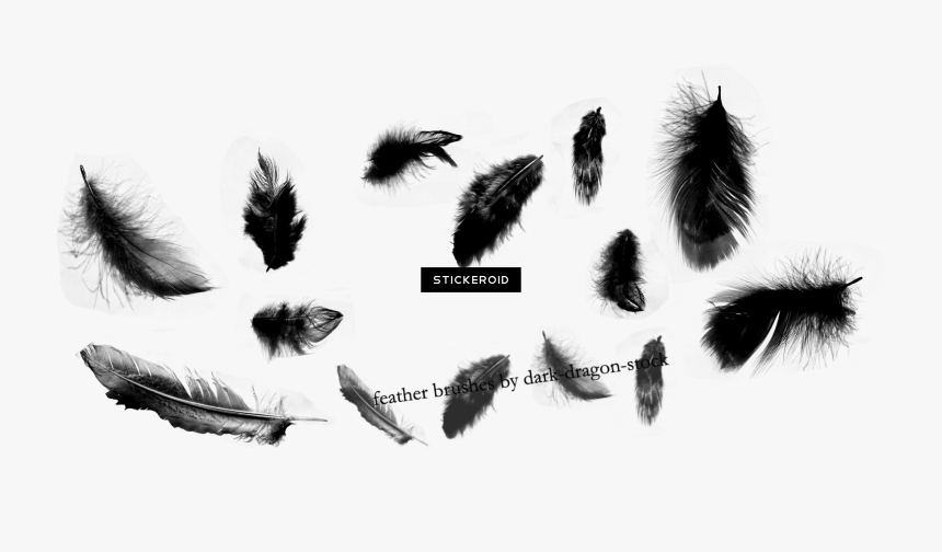 Vampire Diaries Damon Sticker , Png Download - Feather Brush For Photoshop Cs6, Transparent Png, Free Download