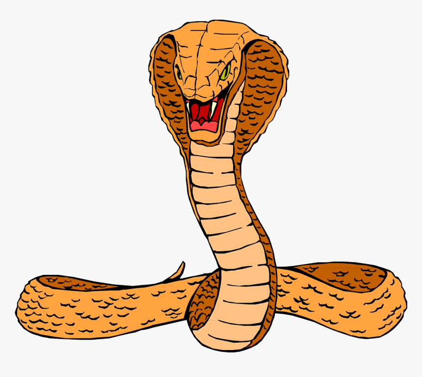 Змея рисунок png