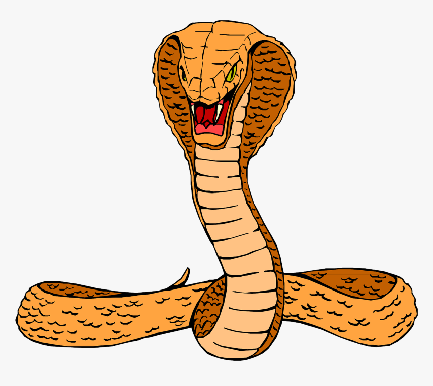 Cobra Clipart, HD Png Download, Free Download