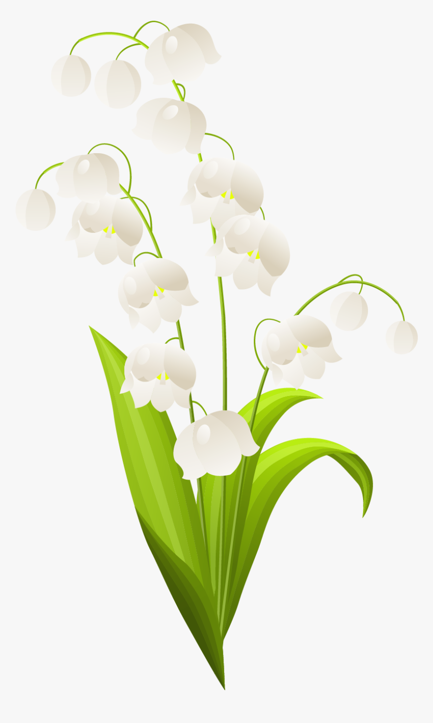 Transparent Easter Border Png - Lily Of The Valley Stem, Png Download, Free Download