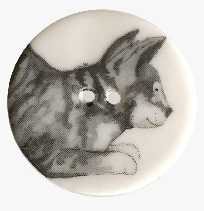 Gray Cat With Perky Ears Porcelain Button 1-1/8" - Domestic Short-haired Cat, HD Png Download, Free Download