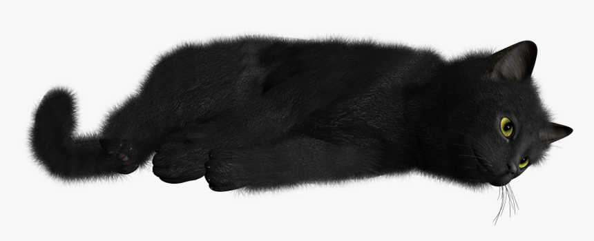 Cat Png Image - Black Cat Transparent Background, Png Download, Free Download
