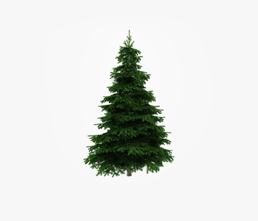 Christmas Tree Decorations 2019, HD Png Download, Free Download