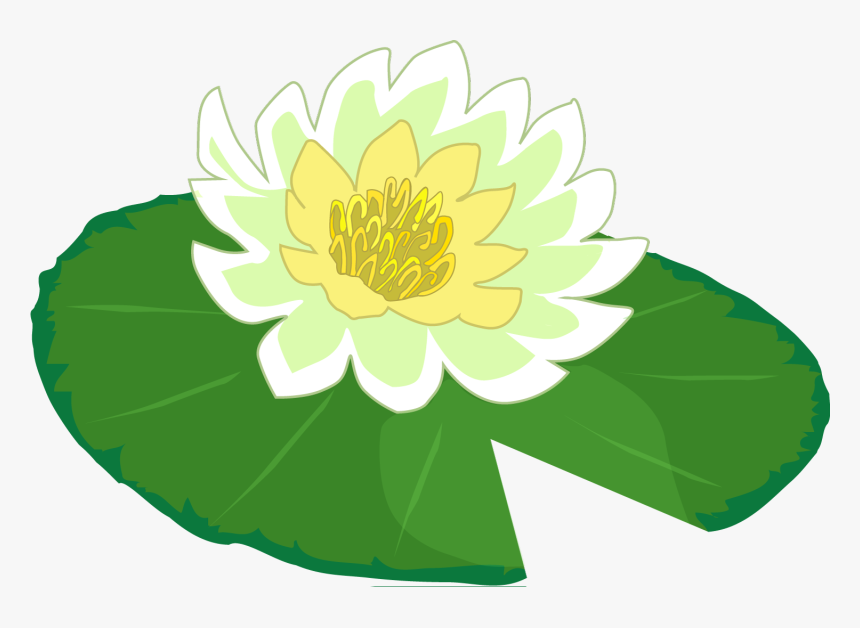 White Flower Water Lily Clipart The Cliparts Png - Cute Lily