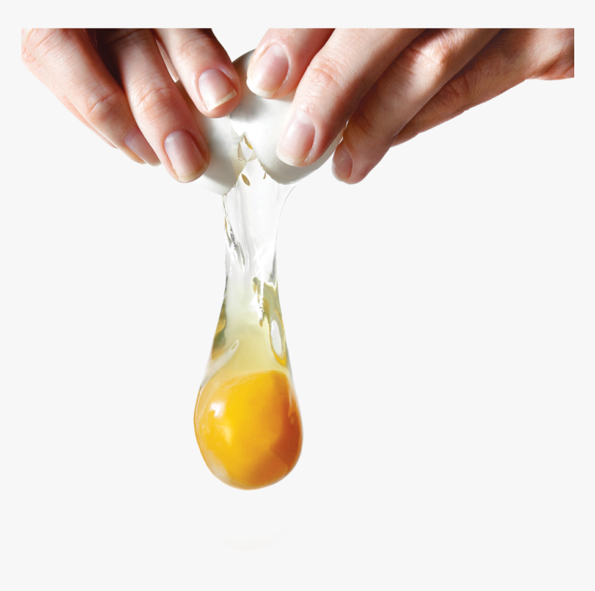Egg Png - Egg Yolk Transparent Background, Png Download, Free Download