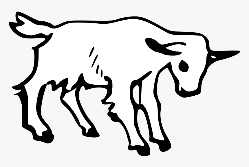 Boer Goat Pygmy Goat Anglo Nubian Goat Drawing Graphic - Goat Clipart, HD Png Download, Free Download