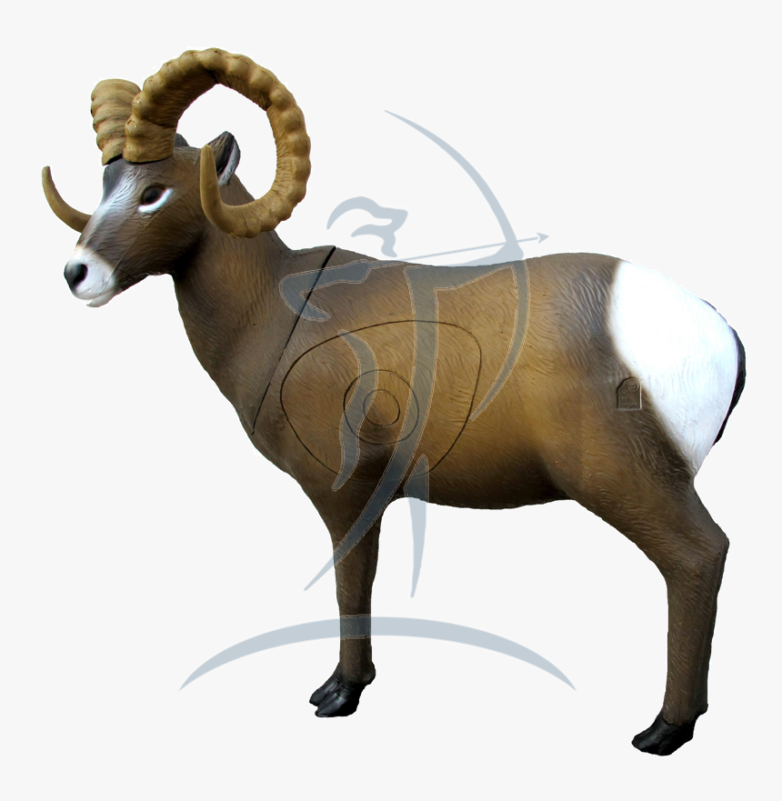 Srt Rocky Mountain Goat - 3d Bighorn Sheep Target, HD Png Download, Free Download