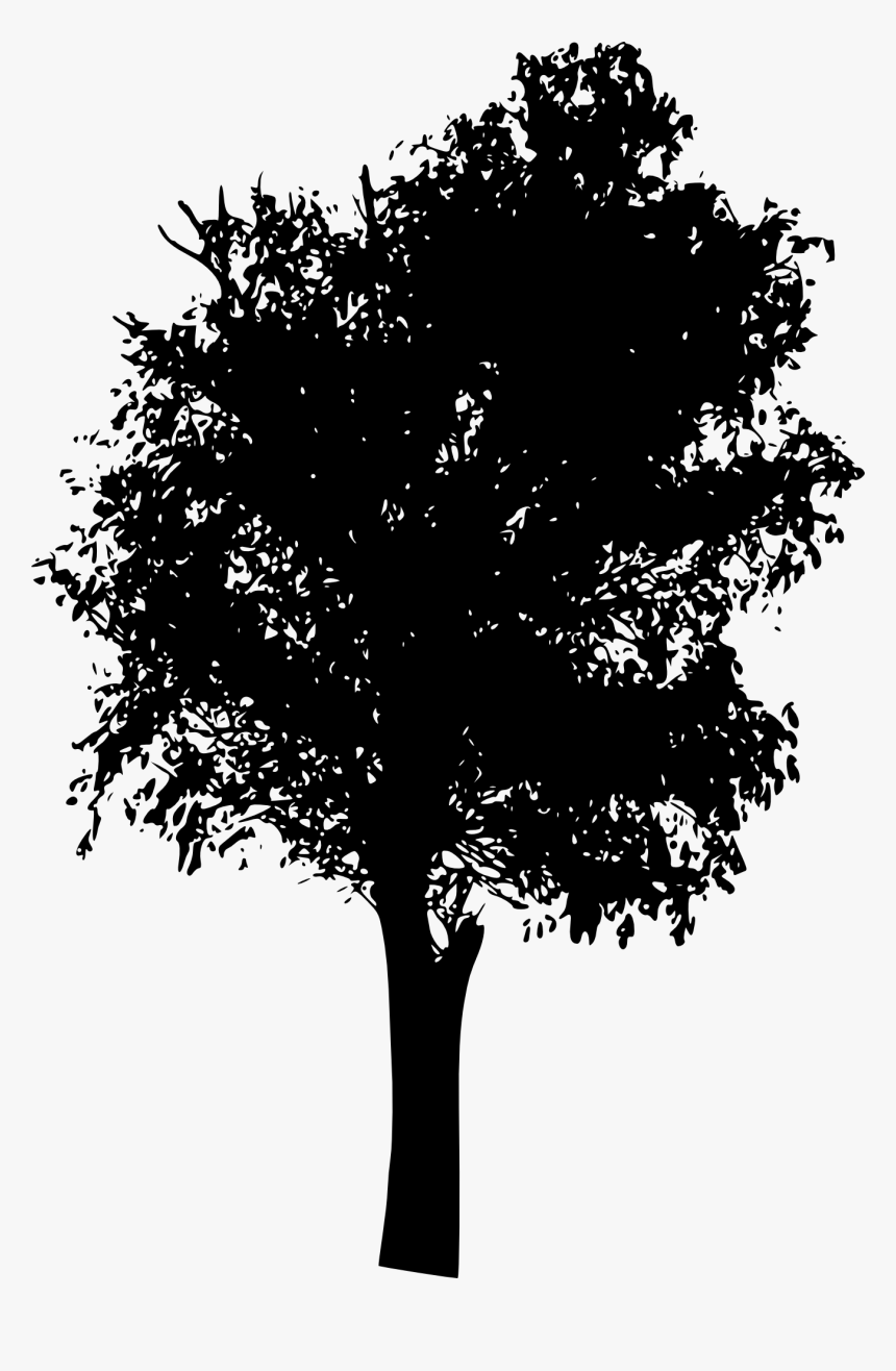 Tree Silhouette 2 - Transparent Background Tree Silhouette Png, Png Download, Free Download