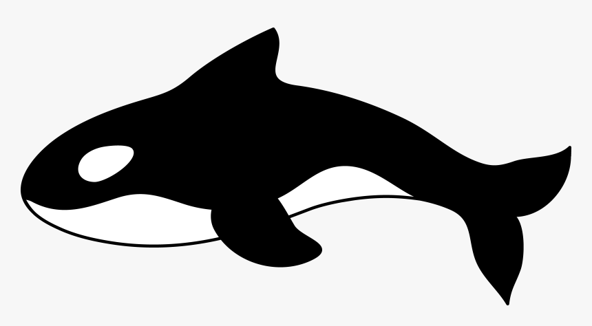 Orca Whale Outline, HD Png Download, Free Download