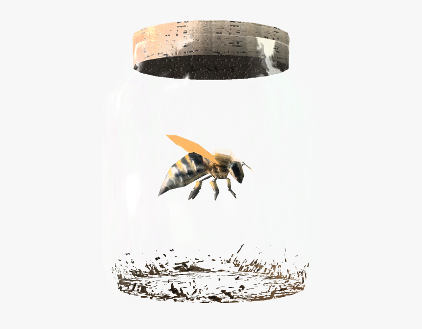 Bee In A Bottle, HD Png Download, Free Download