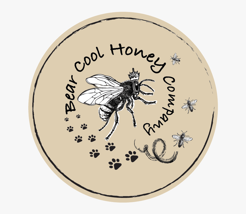 Honeybee, HD Png Download, Free Download