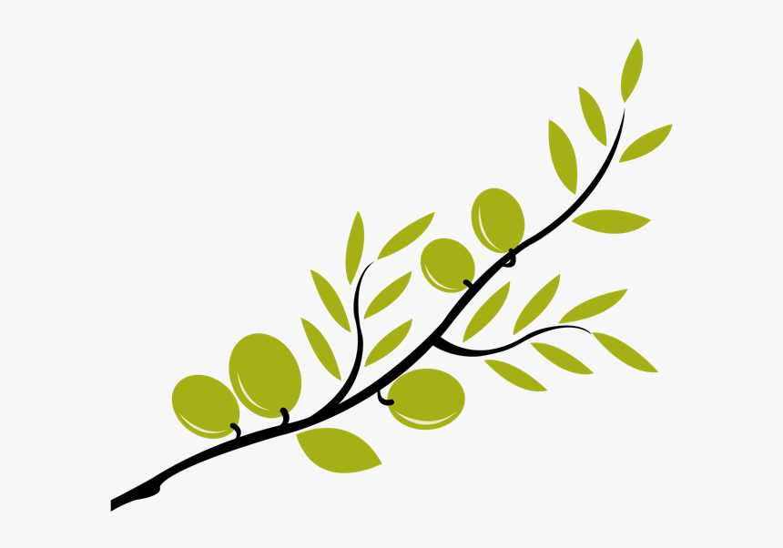 Olive Branch Mediterranean Cuisine Clip Art - Olive Tree Branch Clipart, HD Png Download, Free Download