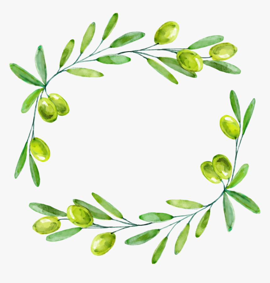 Transparent Olive Leaf Png - Olive Branch Olive Border, Png Download, Free Download