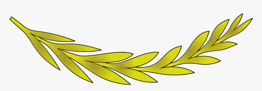 Olive Leaf Png, Transparent Png, Free Download