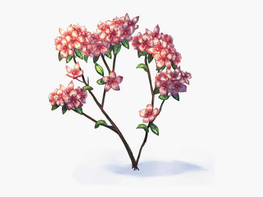 Milkweed - Azalea Png Transparent, Png Download, Free Download