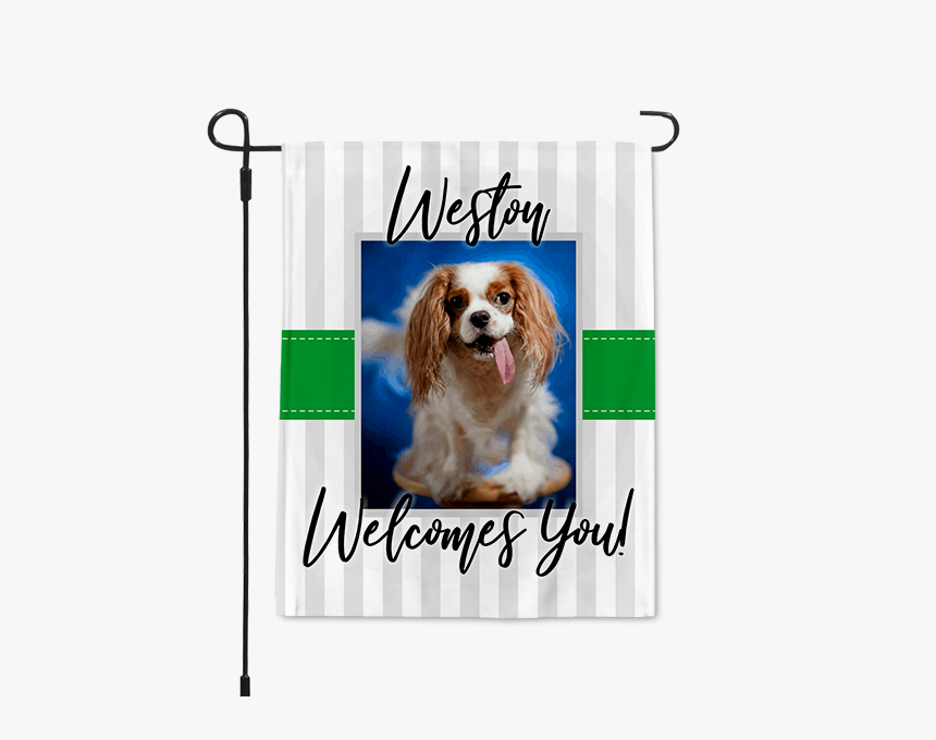 Upload Your Pet Garden Flag"
title="upload Your Pet - Cavalier King Charles Spaniel, HD Png Download, Free Download