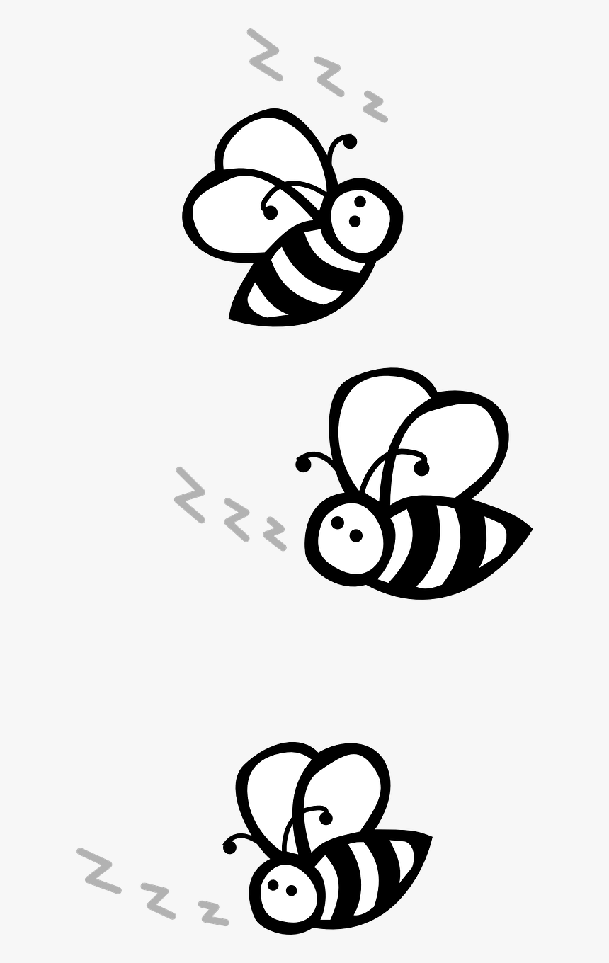 Bee Black And White Clipart, HD Png Download, Free Download