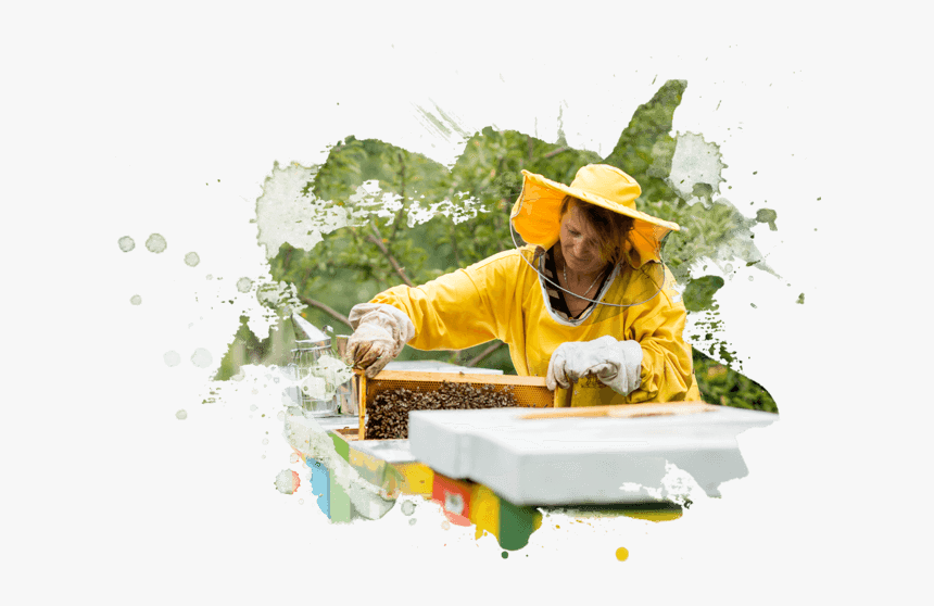 Women In Yellow Raincoat Works With Honecomb"
 Width="653"
 - Sitting, HD Png Download, Free Download