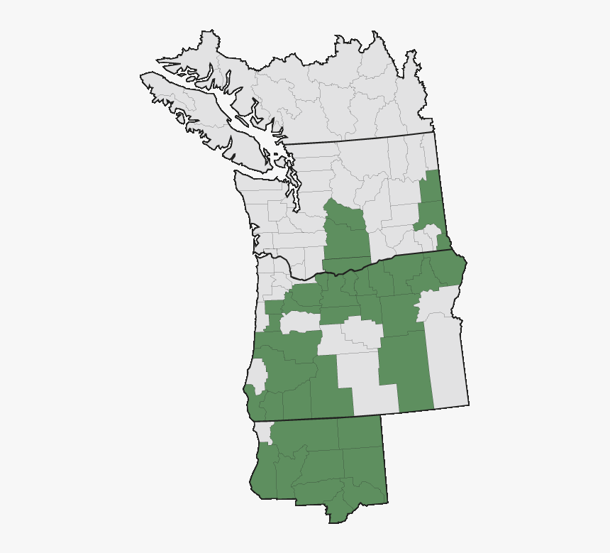 Eriogonum Oregon Map, HD Png Download, Free Download