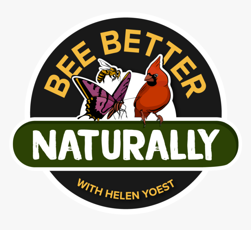 Bee Better Logo Transparent Background - Illustration, HD Png Download, Free Download