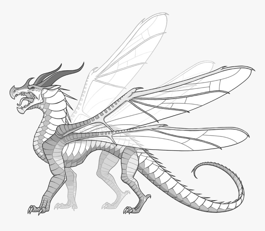 Wings Of Fire Fanon Wiki - New Species Of Wings Of Fire Drawings, HD Png Download, Free Download