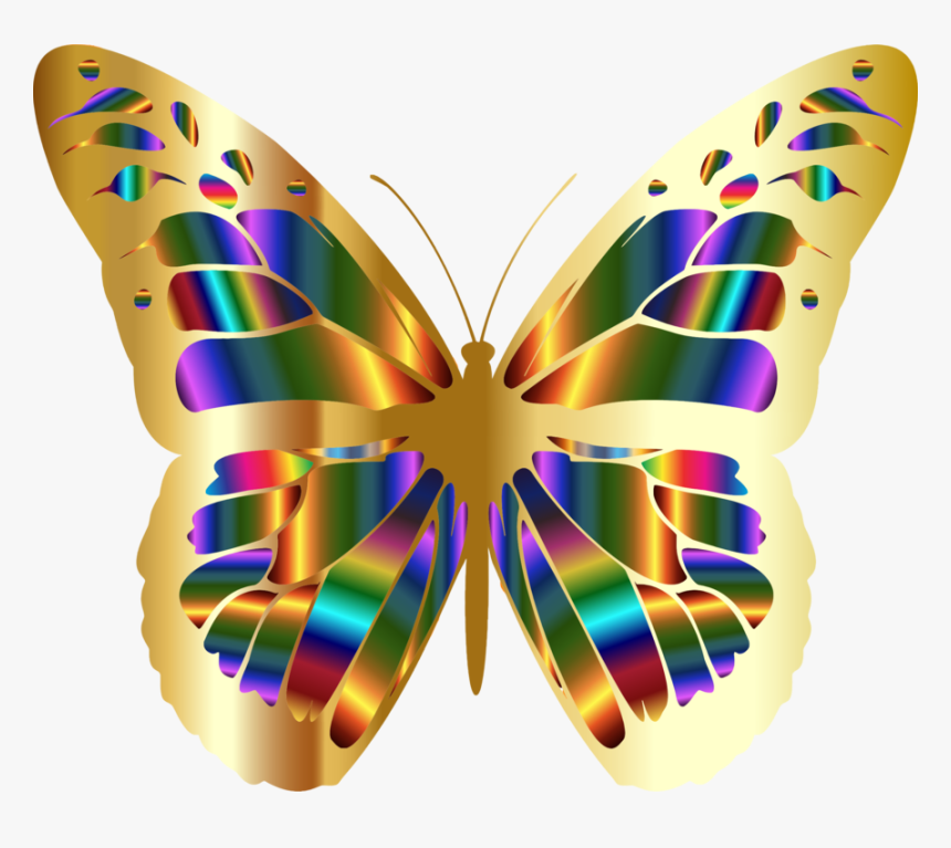 Butterfly,cynthia Subgenus,emperor Moths - Monarch Butterfly, HD Png Download, Free Download