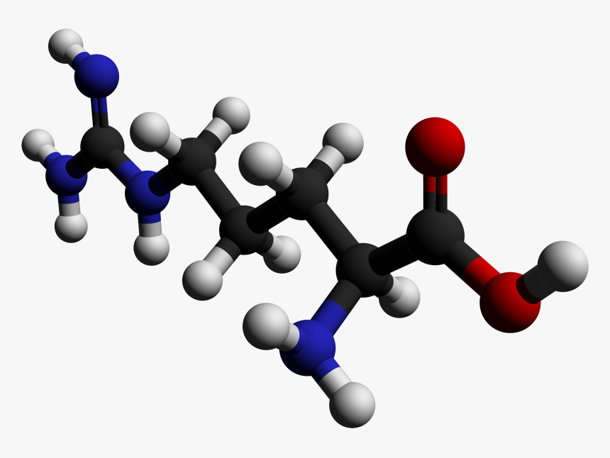 Arginine 3d Balls By Ahrls 2012 - Arginine Molecule, HD Png Download, Free Download