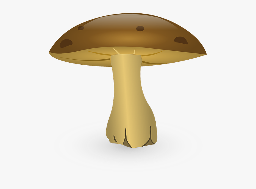Mushroom, Cartoon, Fungus, Vegetable, Organic, Cute - Hongos Dibujos, HD Png Download, Free Download