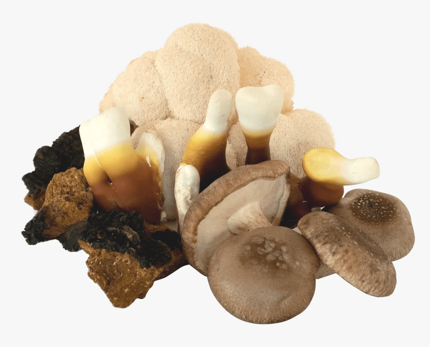 Shiitake, HD Png Download, Free Download