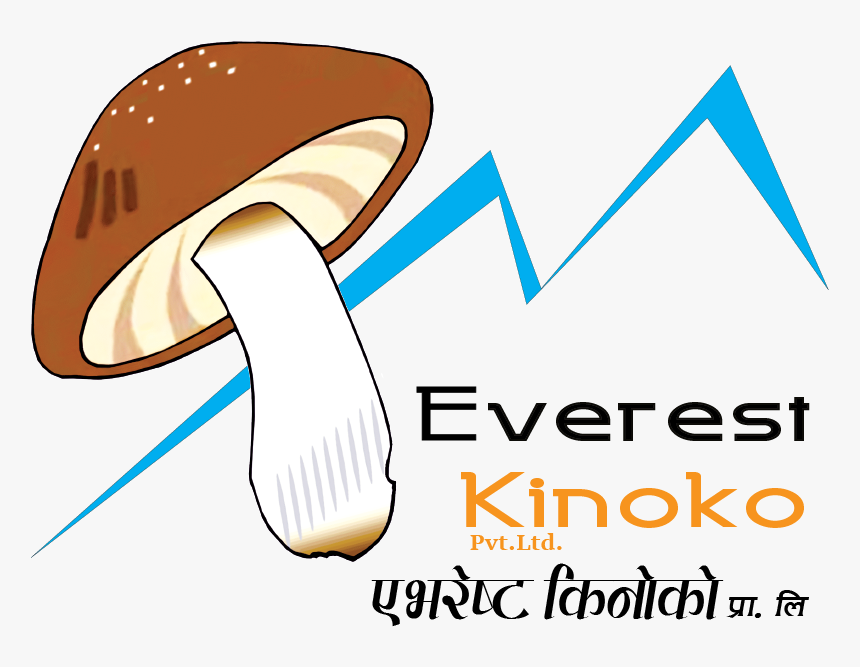 Everest Kinoko - Shiitake, HD Png Download, Free Download