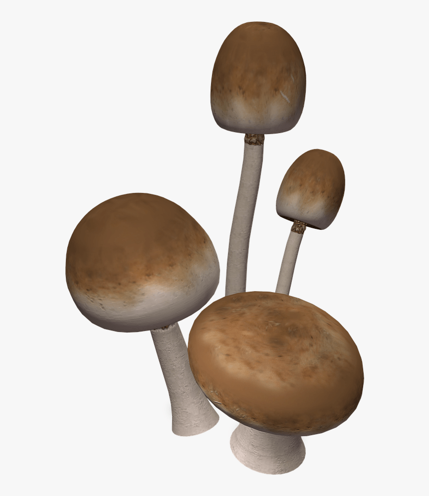 Brown Mushrooms - Mushroom, HD Png Download, Free Download