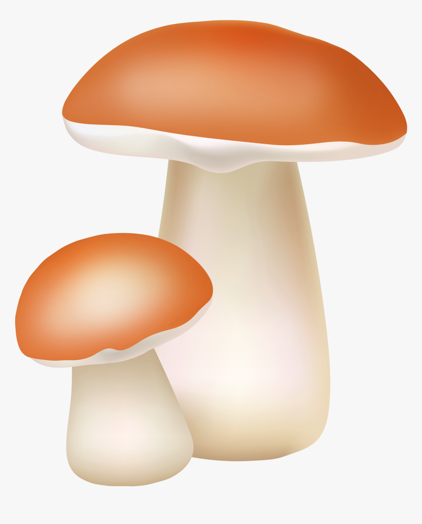 Two Mushrooms Png Cliaprt, Transparent Png, Free Download