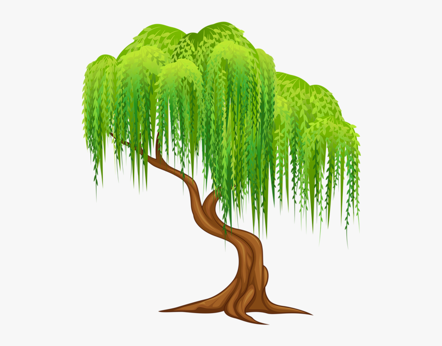 Pin By Kim Heiser - Drawing Weeping Willow Tree, HD Png Download, Free Download