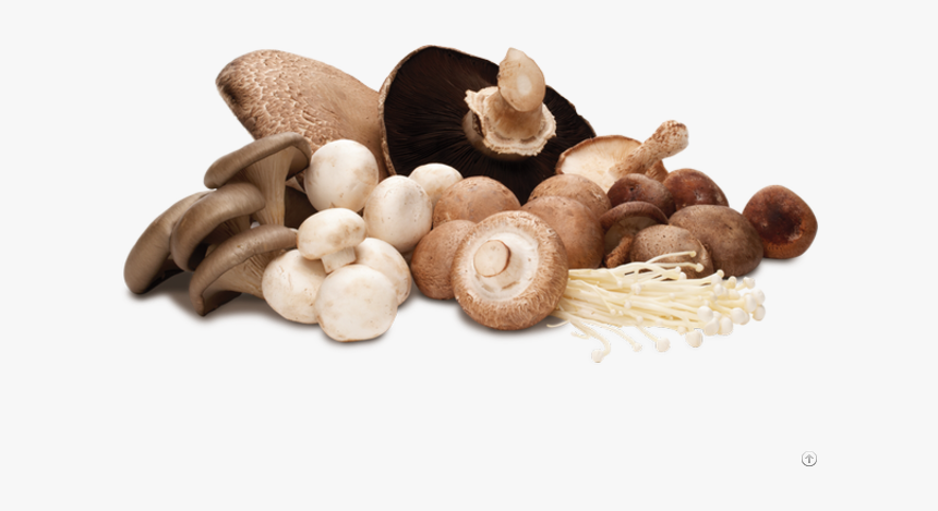 Dried Shiitake Mushrooms Sliced - Mushrooms Png, Transparent Png, Free Download