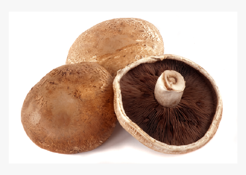 Porta Bella Mushroom, HD Png Download, Free Download