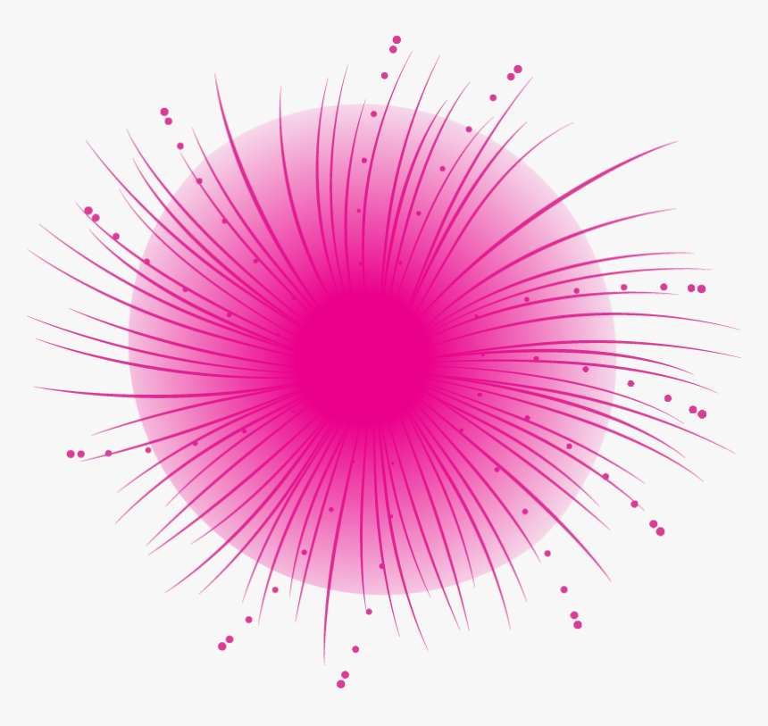 Macro Photography, HD Png Download, Free Download