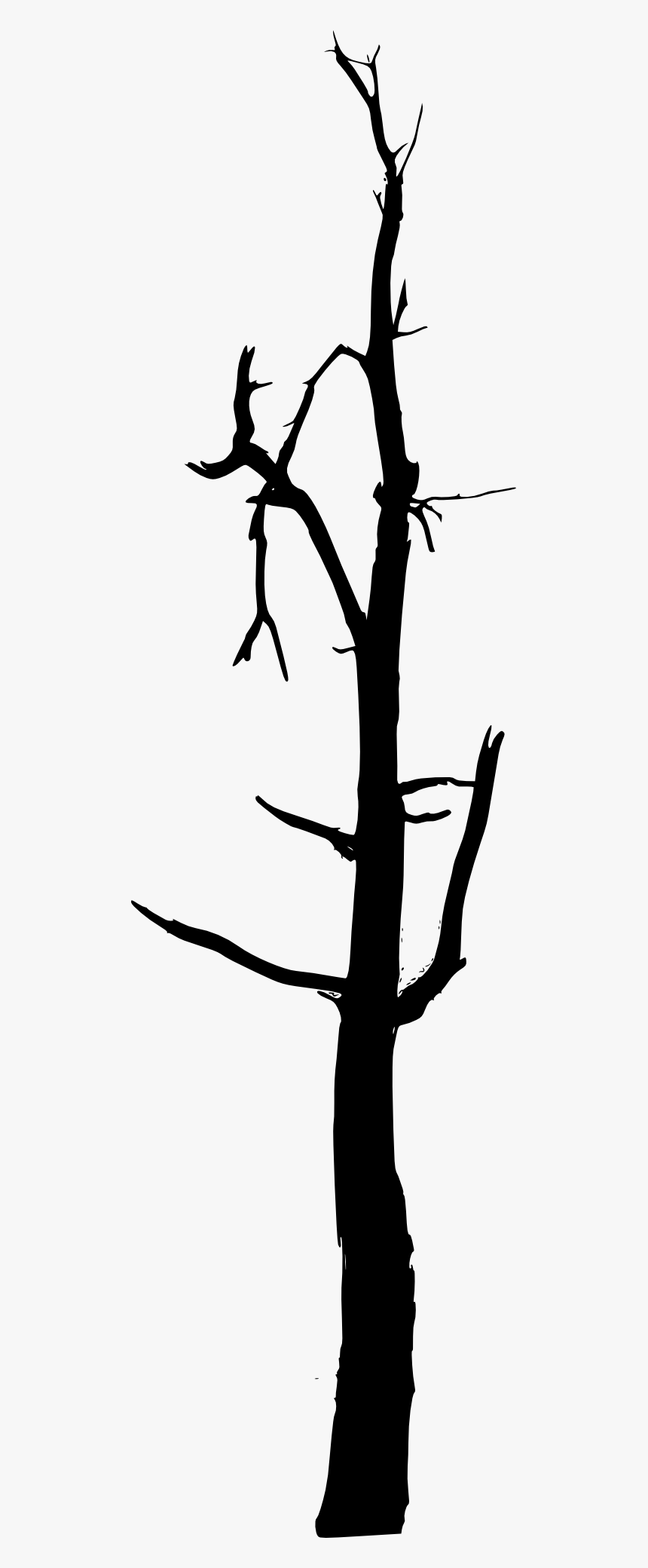 Stick Clipart Bare Branch - Pine Tree Trunk Silhouette Png, Transparent Png, Free Download