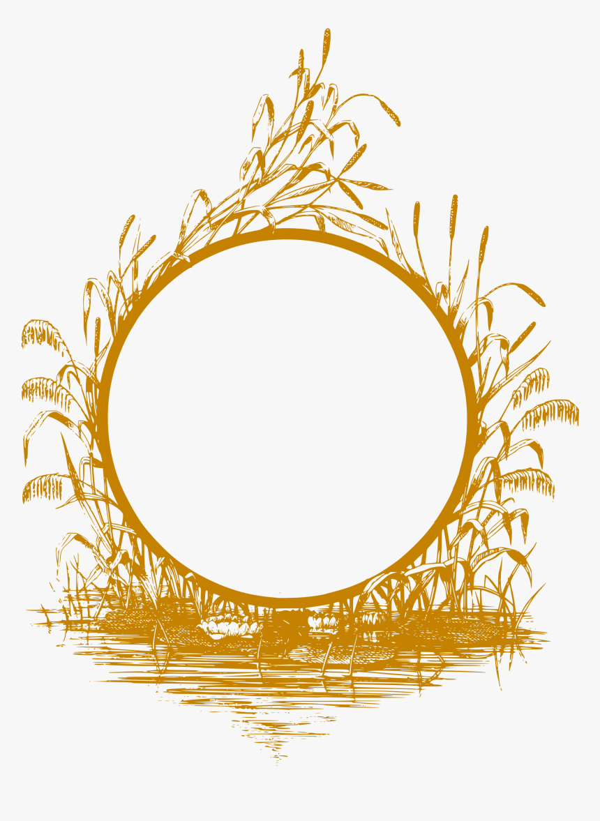 Golden Frame Png Clipart , Png Download - Gold Frame Design Png, Transparent Png, Free Download