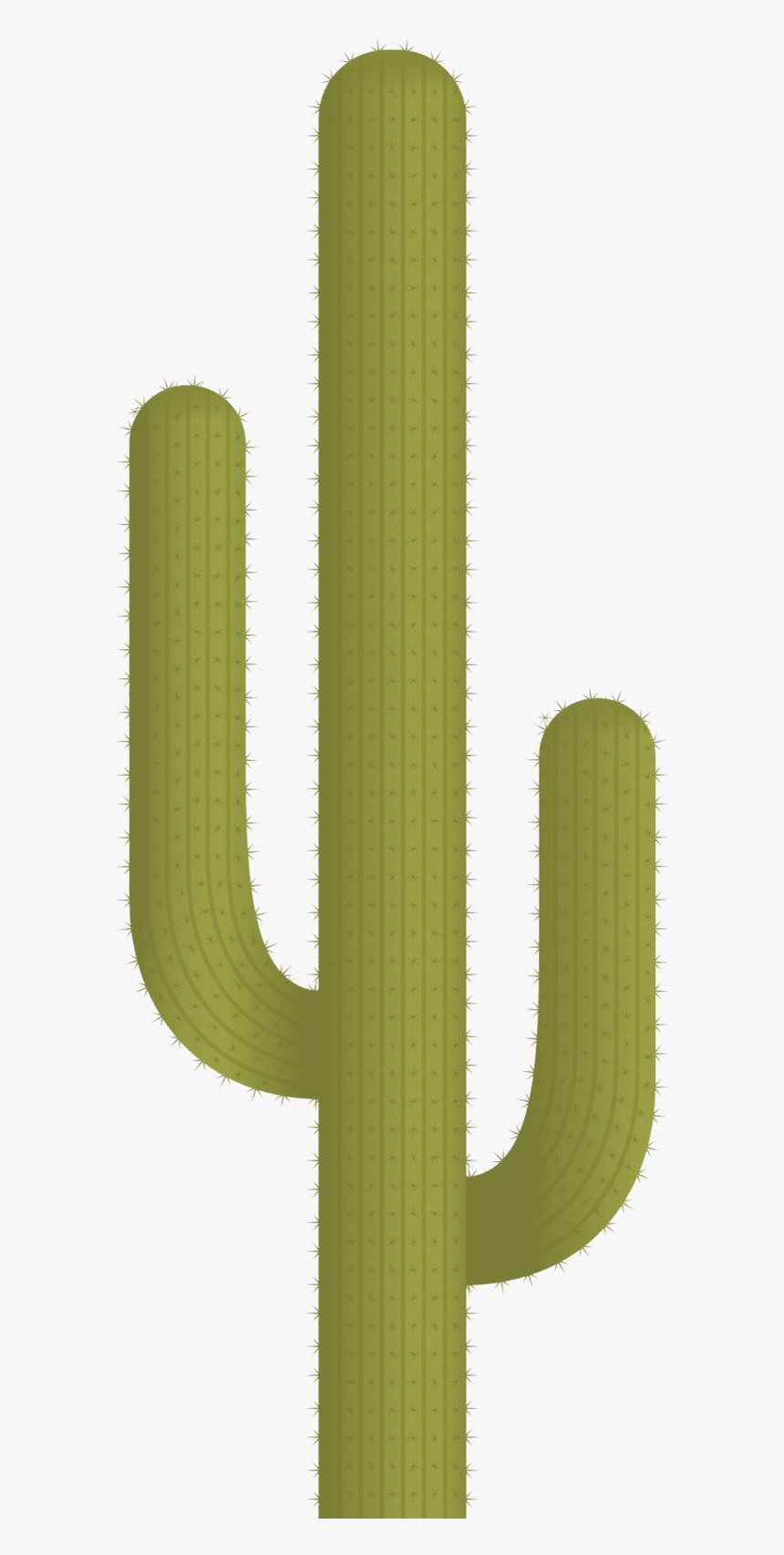 Cactus Clipart Hd Png Images - Cactus, Transparent Png, Free Download