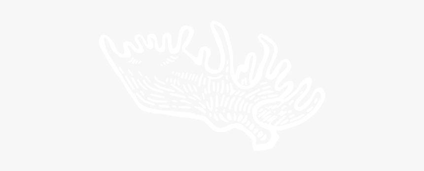 White Moose Antlers 1 - Hyatt White Logo Png, Transparent Png, Free Download