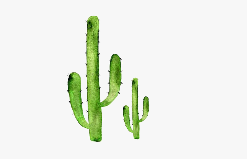 Sticker Art Cactaceae Succulent Plant Redbubble - Transparent Cactus Background Png, Png Download, Free Download