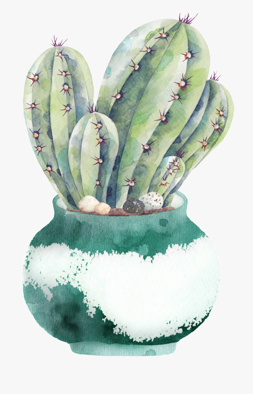 Hand Painted A Plate Of Cactus Png Transparent - Planting Cactus Watercolor Illustration, Png Download, Free Download
