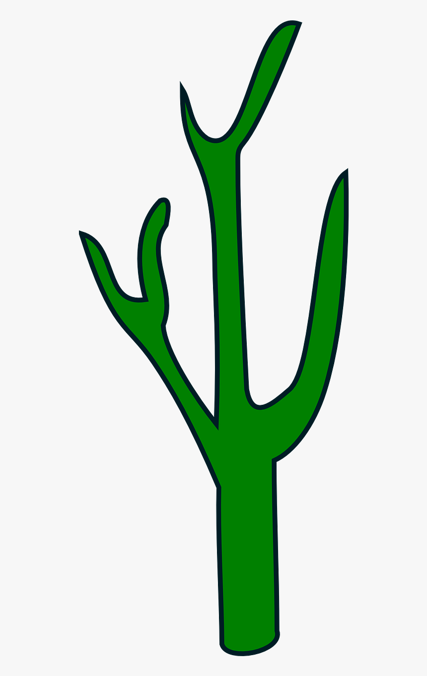 Green Plant Cacti, HD Png Download, Free Download